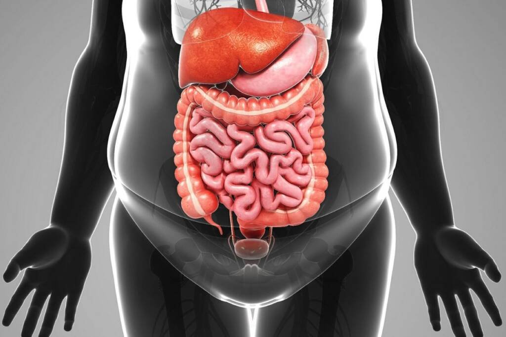 New Phase II Data Reveals Significant Weight Reduction with Lilly's Orforglipron in Obesity and Overweight Patients