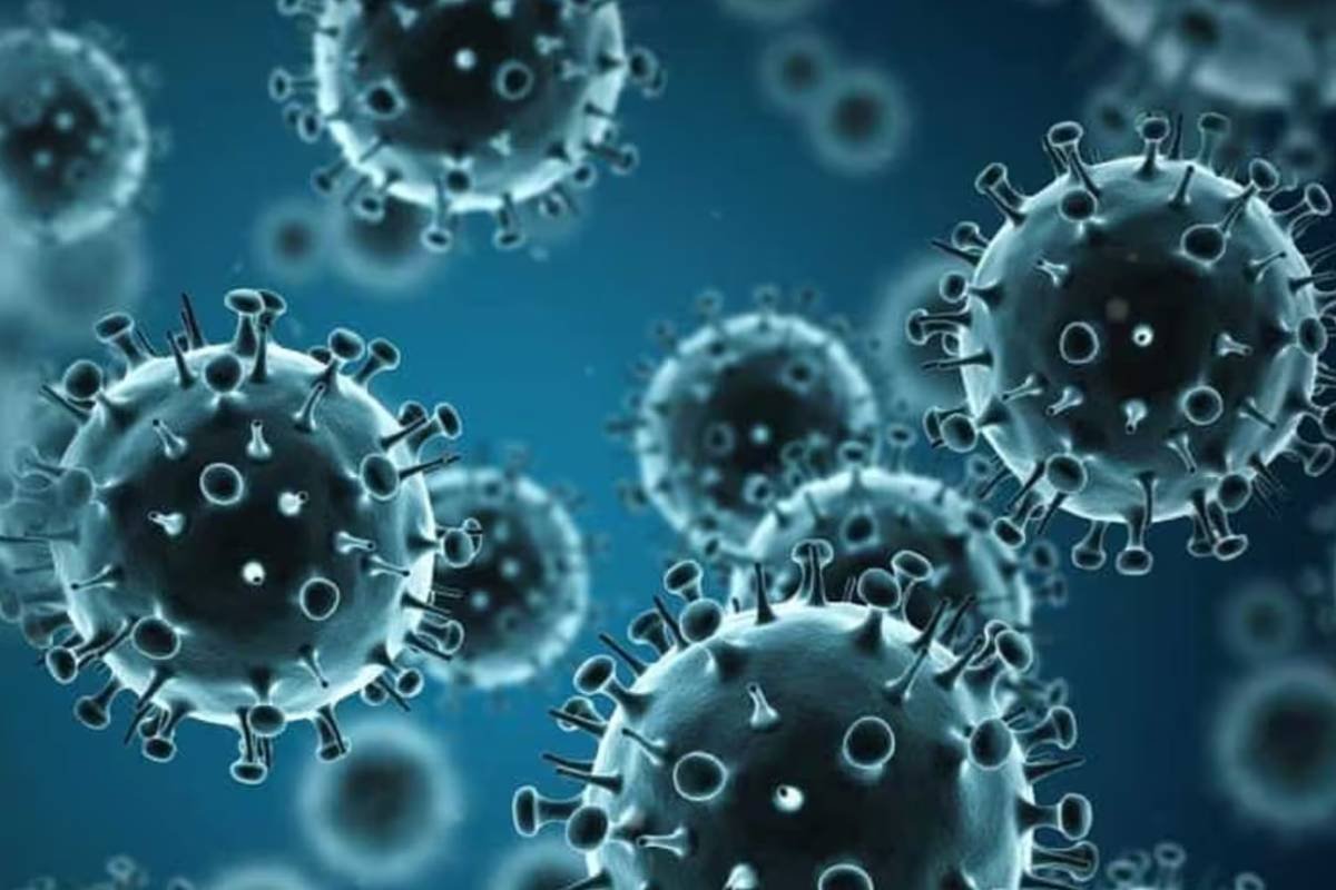 influenza-variant-virus-brazil - Pharmtales - Latest Pharma News & Analysis