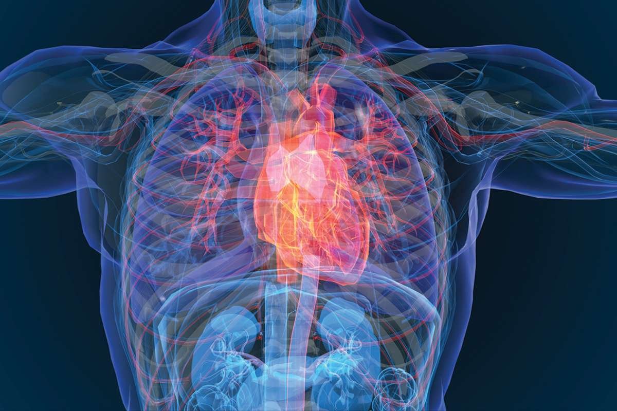 BridgeBio Reports Improved Data for ATTR Cardiomyopathy Drug