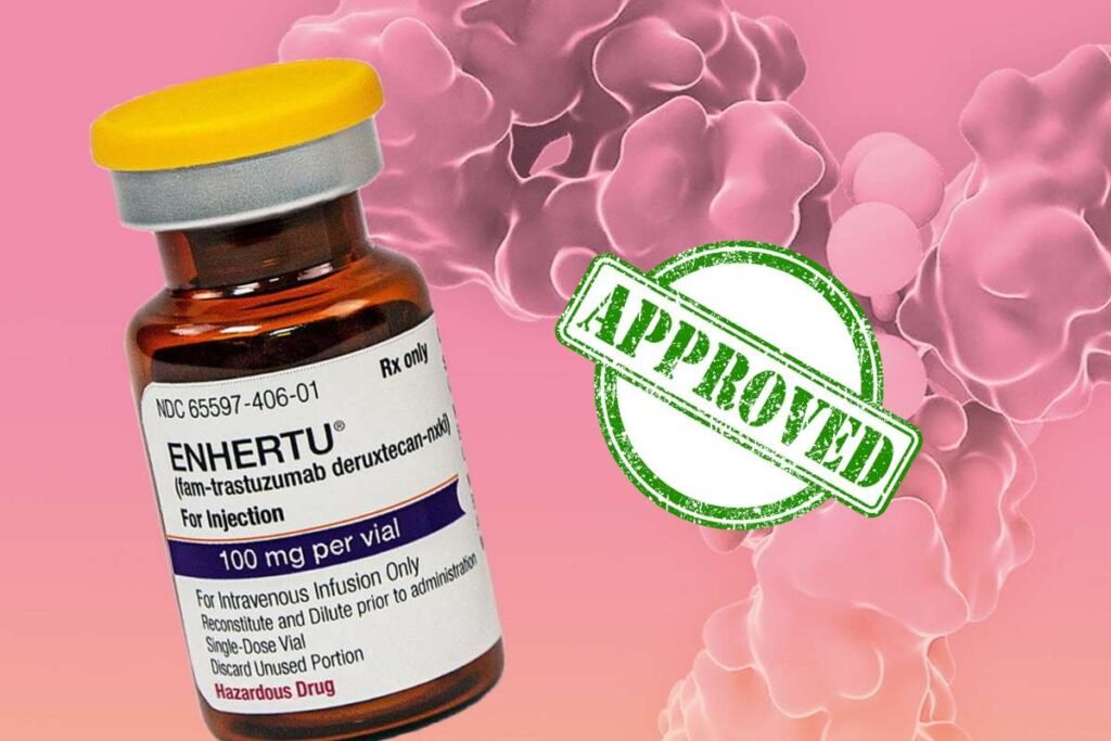 Enhertu Approval In HER2-Low And HER2-Positive Breast Cancer 