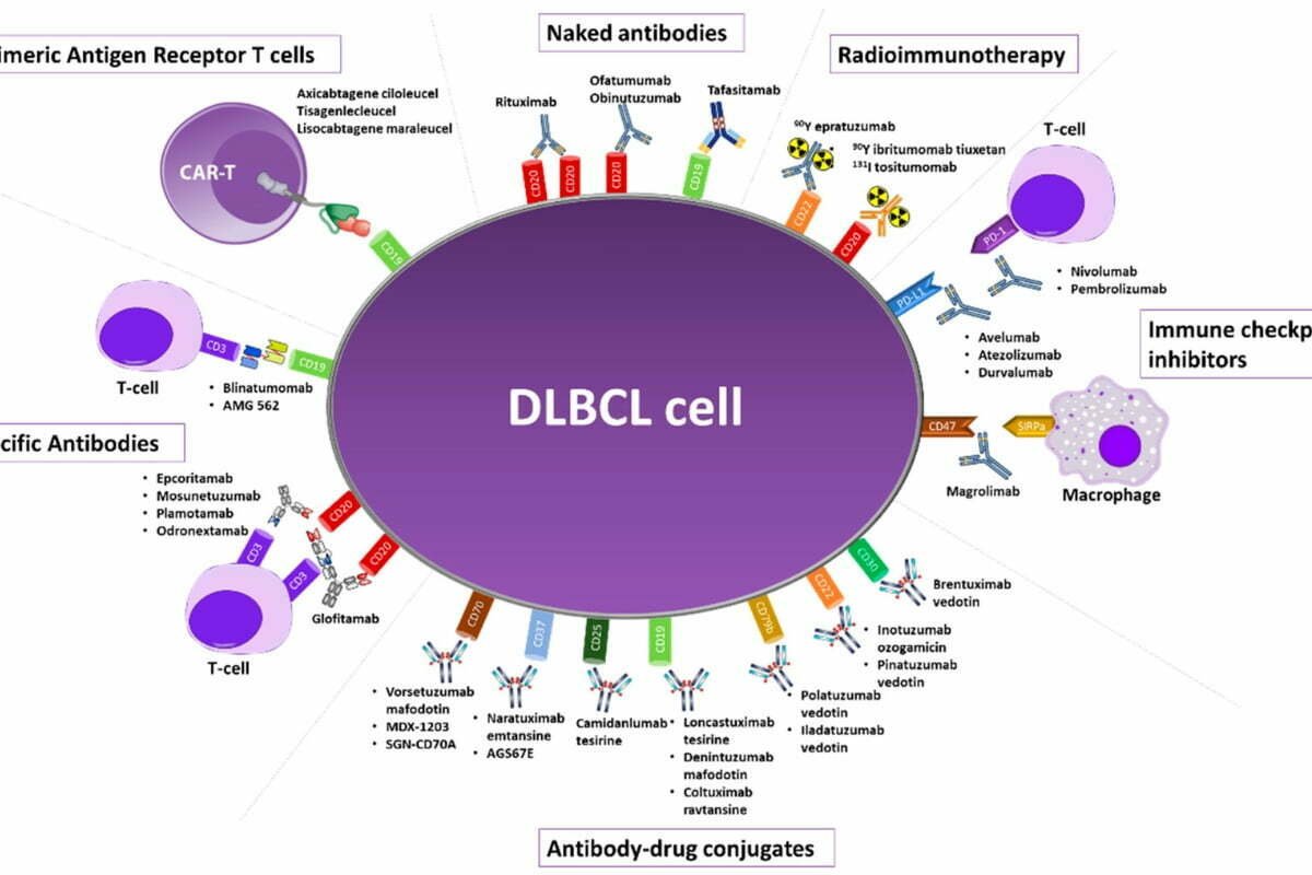 Battle For Breakthrough In Large B Cell Lymphoma Treatment