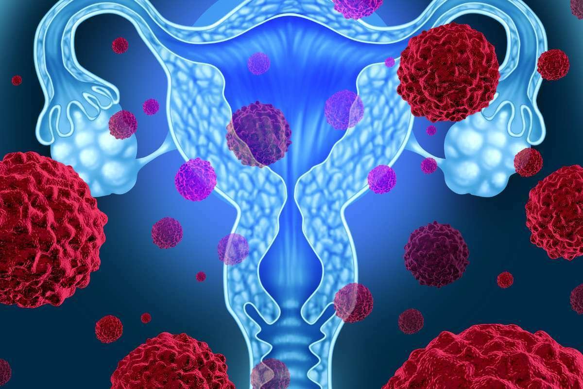 illustration-of-the-menstrual-cycle-showing-the-evolution-of-the