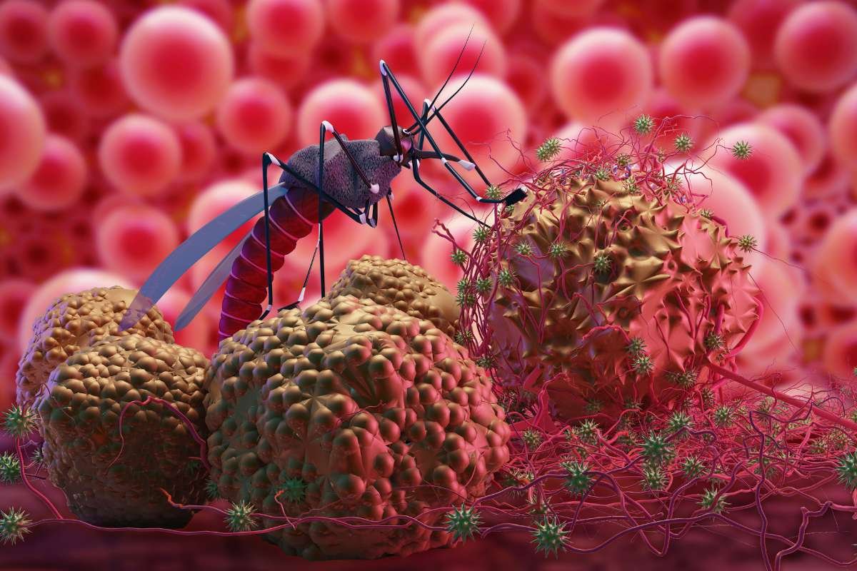 New Breakthrough in Malaria Treatment by GSK Scientists