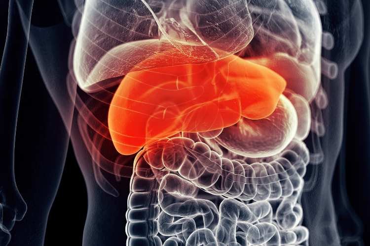 Influential Pliant Persuades Investors, Propelling Stock Skyward with Promising Liver Disease Efficacy Data