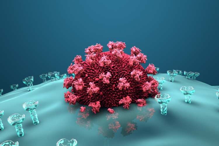 Injectable hydrogel delivers HIV drug for six weeks in mice study